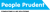 People Prudent Consulting & HR Solutions LLC Logo