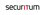Securitum Logo