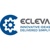 ECLEVA - Microsoft Solutions Partner Logo